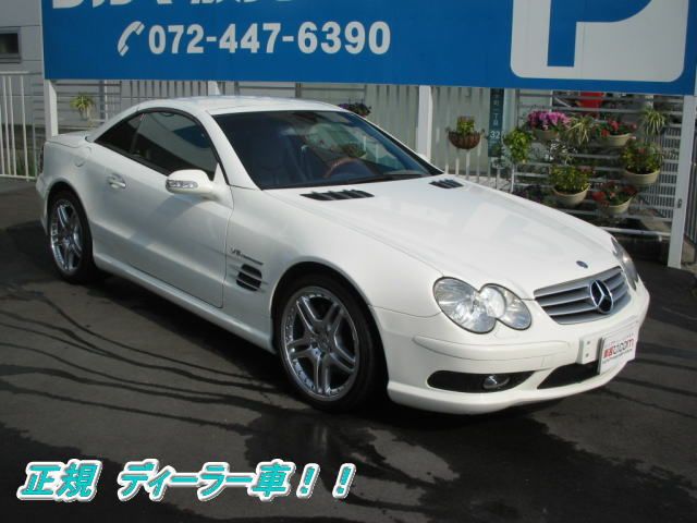 ZfXxc SL500 SL55dlF̑