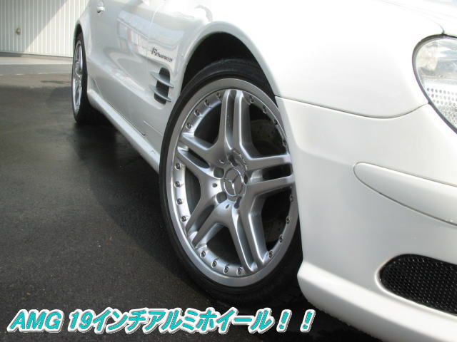 ZfXxc SL500 SL55dlF̑