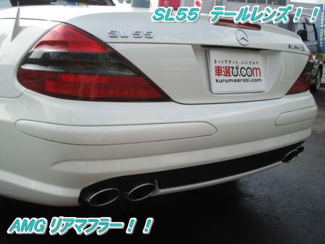 ZfXxc SL500 SL55dlF[^[